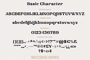 Codigra - Modern Retro Font, a Serif Font by Prioritype Co (Thumbnail 7 of 11)