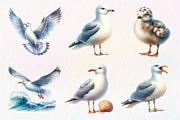 Watercolor Seagulls Clipart, an Illustration by Dream Creation (Thumbnail 4 of 7)