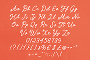 Coastal Tropicana Casual Font Duo, a Handwritten Font by Sixtype (Thumbnail 8 of 10)