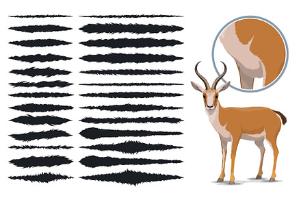 Animal fur texture brush strokes
