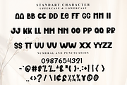 Holly Jolly, a Script Font by FreshTypeINK (Thumbnail 5 of 8)
