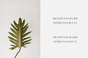 Espresso - Minimal Display Font, a Sans Serif Font by Creative Type (Thumbnail 4 of 5)