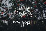 Typographer's Dream Box + 200 Logos, a Script Font by Mats-Peter Forss (Thumbnail 98 of 130)