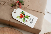 Birth Month Flower Clipart Bundle, an Illustration by PaintPixelCo (Thumbnail 5 of 14)
