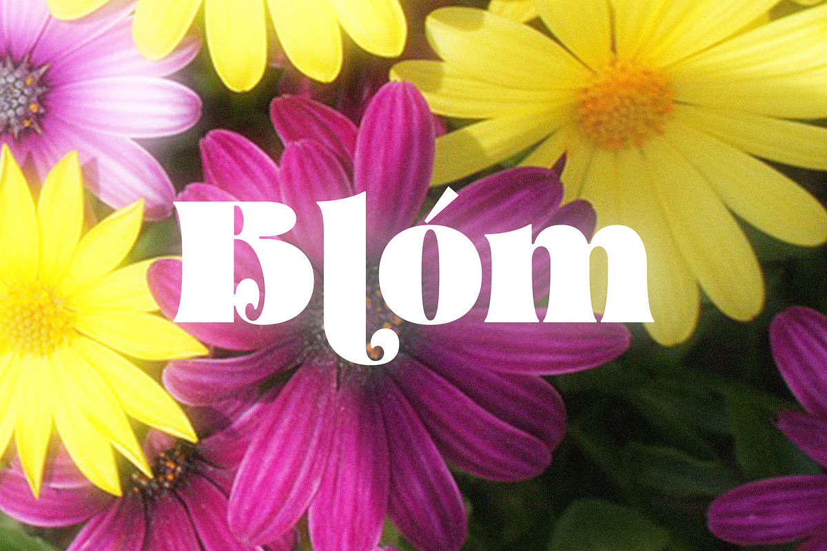 Aprila Font Free Download | FontCypress