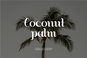Buchery | Script Fonts | Food Fonts, a Script Font by WhymoreArt (Thumbnail 7 of 11)