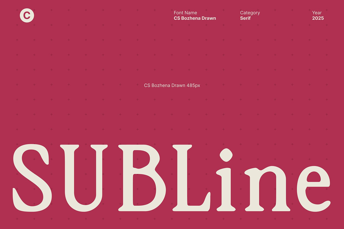 CS Bozhena Drawn, a Serif Font by Craft Supply Co. (Photo 5 of 8)