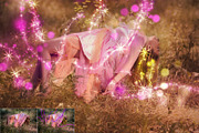 Sparkling Stars, an Action Add-On by Danive Studio (Thumbnail 2 of 10)