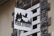 Retro Camping Labels, a Branding & Logo Template by Arys Design (Thumbnail 2 of 4)