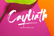 Cayliath Brush Script, a Handwritten Font by Get Studio (Thumbnail 2 of 7)