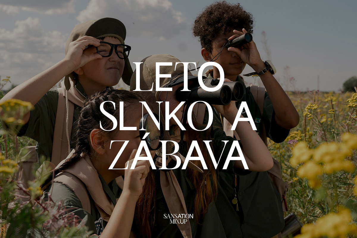 Sensation Mixup Experimental font, a Serif Font by BilberryCreates (Photo 14 of 18)
