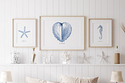 Ocean Memories Underwater Collection, an Animal Illustration by beehouse studio (Thumbnail 11 of 12)