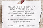 Aesthetic – Modern Calligraphy Font, a Script Font by RedyStudio (Thumbnail 13 of 13)