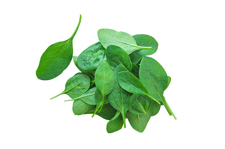 Spinach leaves isolate on white, a Food & Drink Photo by yanadjana
