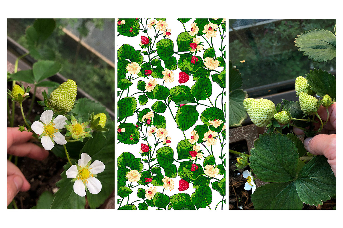 Strawberry berries vector color, a Graphic by irina.vaneeva (Photo 6 of 8)