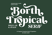 Borth Tropical Serif, a Serif Font by Black Junst (Thumbnail 2 of 13)