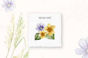 Summer Meadow. Wild Flowers Clipart