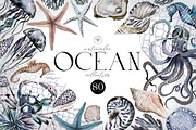 Ocean - Watercolor Nautical Set., a Texture Illustration by Kaleriia (Thumbnail 1 of 10)