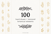 100 Hand Drawn Botanical Graphics, a Texture Illustration by Minna May Design (Thumbnail 1 of 10)