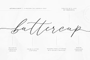 Astoria | Modern Calligraphy Script, a Script Font by Pink Coffie (Thumbnail 7 of 20)