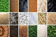100 Organic Nature Texture, a Background Photo by Selenique Studio (Thumbnail 9 of 10)