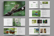 Botanical Magazine, a Magazine Template by ContestDesign (Thumbnail 1 of 5)