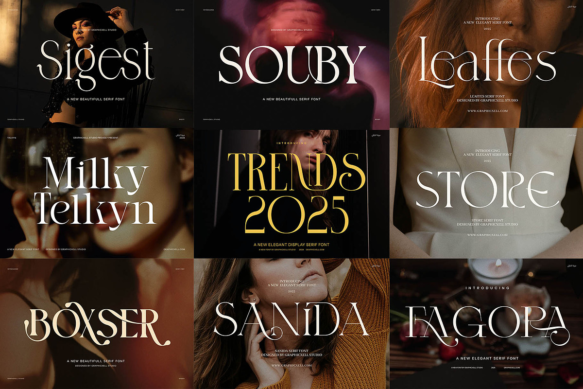 100+ Premium Serif Font Bundle, a Serif Font by Graphicxell (Photo 12 of 12)