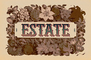 CS Gleam – Tuscan Font, a Serif Font by Craft Supply Co. (Thumbnail 4 of 8)