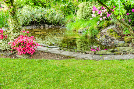 Landscaped Garden Scene preview 6