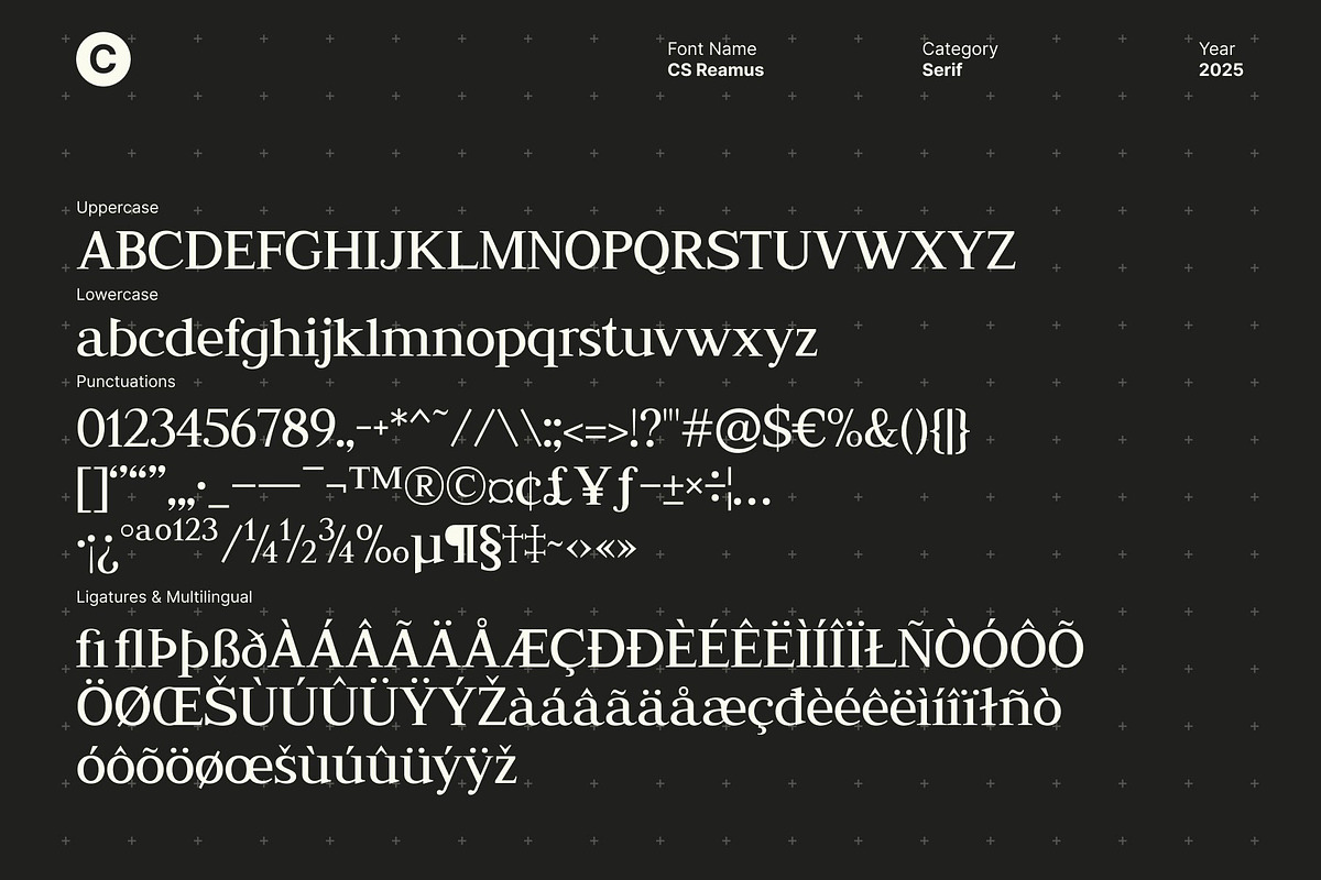 CS Reamus – Serif Typeface, a Serif Font by Craft Supply Co. (Photo 8 of 8)