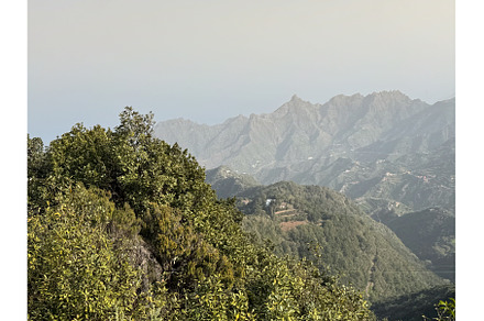 Calima in Tenerife. Beautiful, a Nature Photo by tilialucida