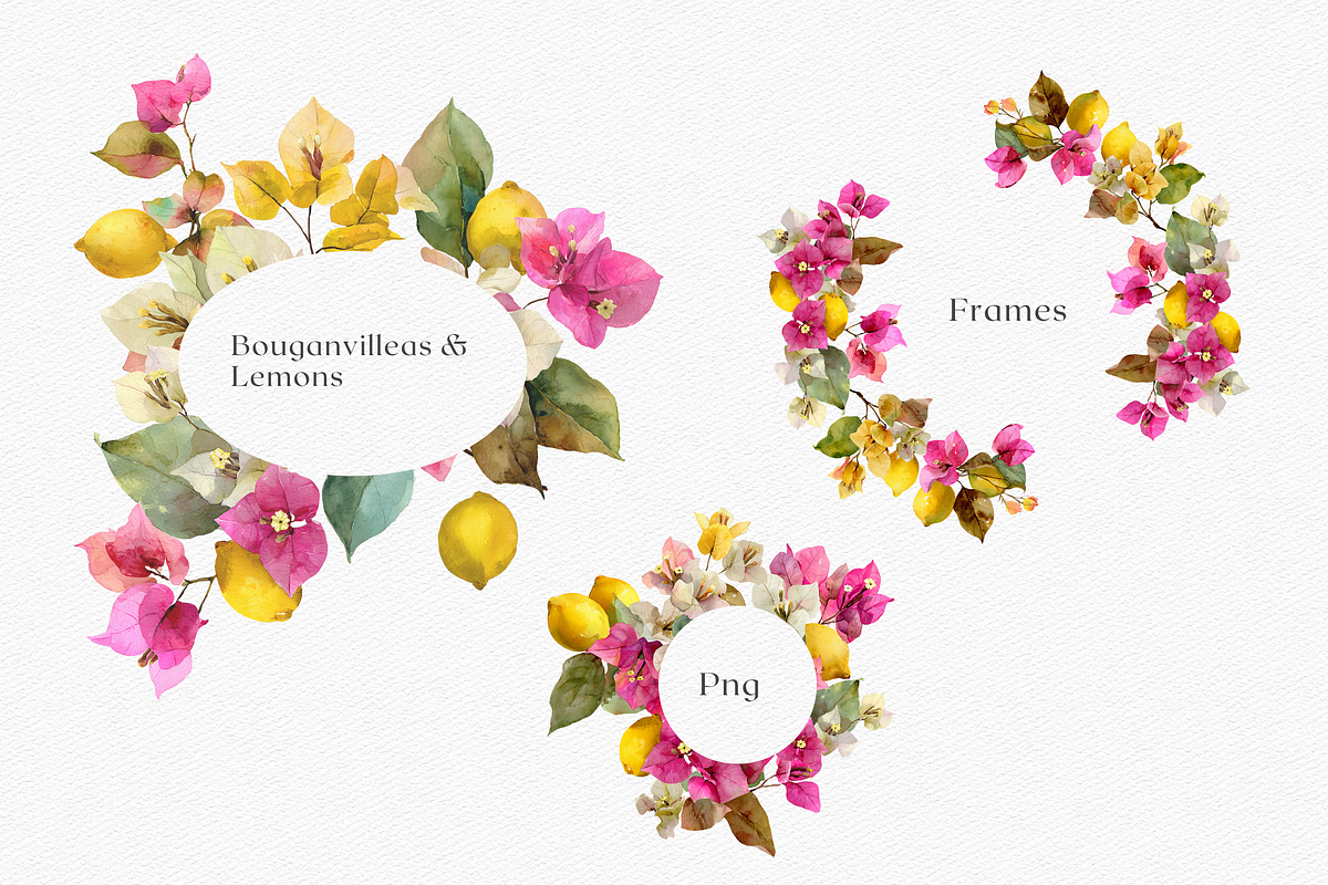 Watercolor Bouganvilleas and Lemons, a Decorative Illustration by ThaismotaCreativeCo (Photo 7 of 11)