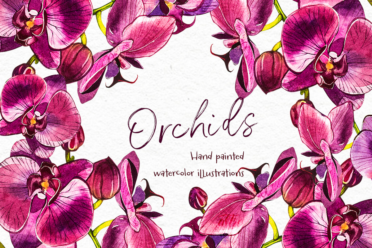 Orchids branch in botanical style, a Decorative Illustration by Ann Astro (Photo 4 of 15)