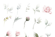 Amanda | Botanical set | 205 images, an Illustration by Karma (Thumbnail 17 of 27)