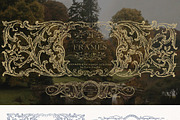 Baroque Vintage Vector Frames Crests, a Decorative Illustration by Veris Studio (Thumbnail 4 of 12)