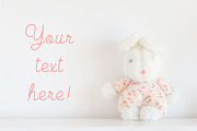 Little bunny containing photography, still life, and white background, an Arts & Entertainment Photo by Maria Dattola Photography (Thumbnail 1 of 2)