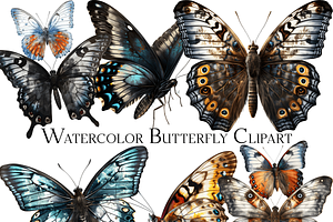 Watercolor Butterfly Clipart