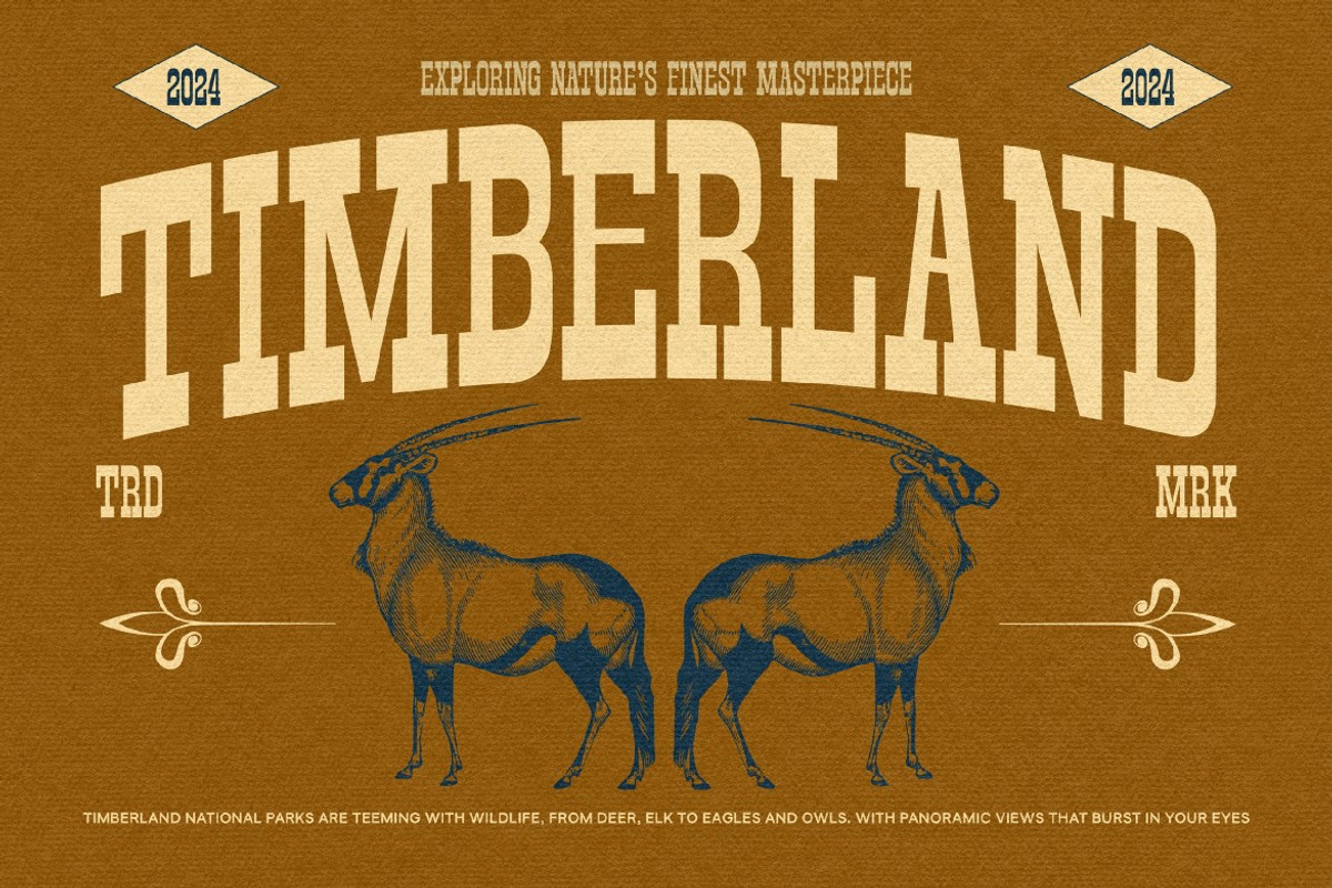Slabrity, a Slab Serif Font by graphicook (Photo 6 of 10)