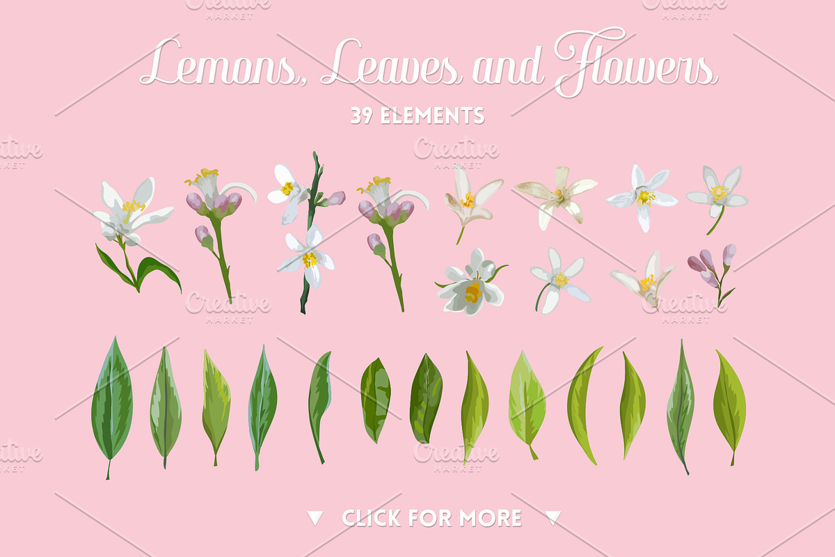 Watercolor Floral Design Set Lemons, an Illustration by Anna Studio (Photo 9 of 11)