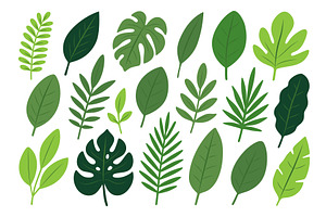 Collection of tropical and exotic, an Illustration by GraphiShop