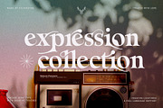 Eighties Nostalgia - Ligature Serif, a Serif Font by SilverStag Type Foundry (Thumbnail 8 of 20)
