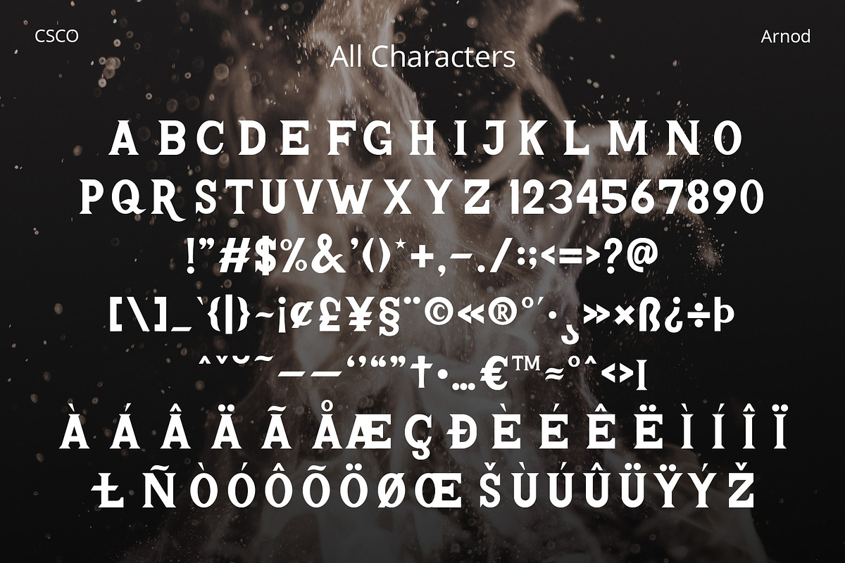 Arnod – Serif Typeface, a Serif Font by Craft Supply Co. (Photo 8 of 8)