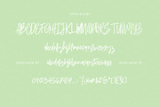 Dust in the wood font, a Script Font by Thirtypath Studio (Thumbnail 6 of 6)