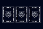 Avatera, a Serif Font by saskaratype (Thumbnail 4 of 7)