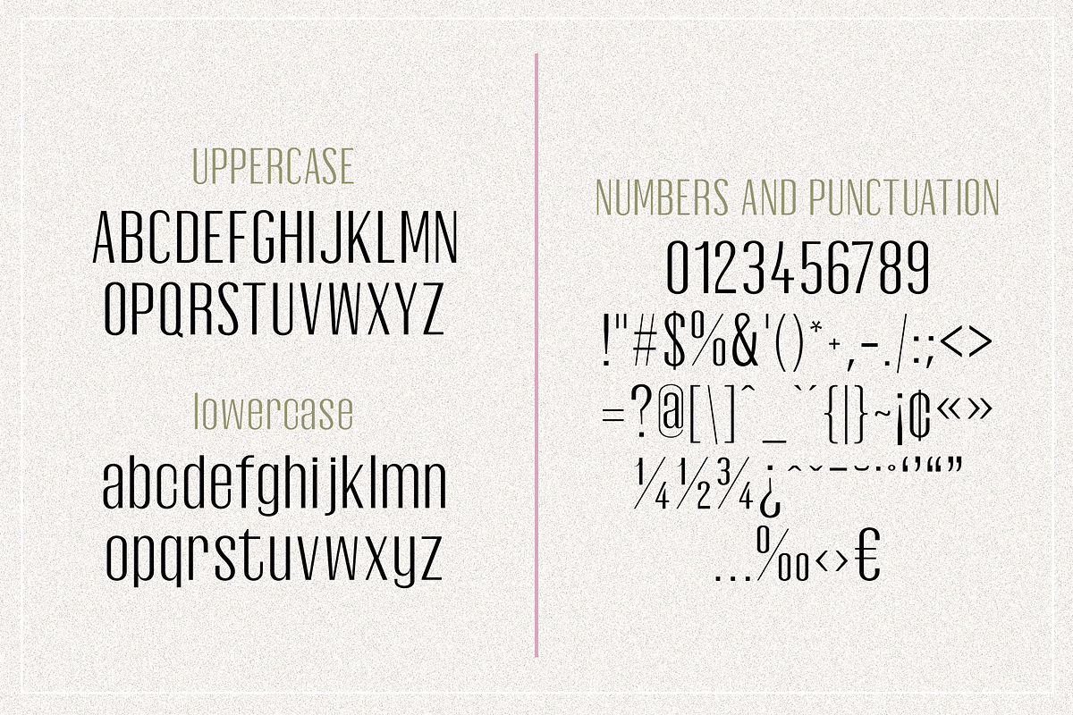 Oleander | Sans-Serif + 10 Cutouts preview 7