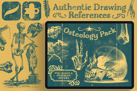 Osteology Authentic Drawing Pack