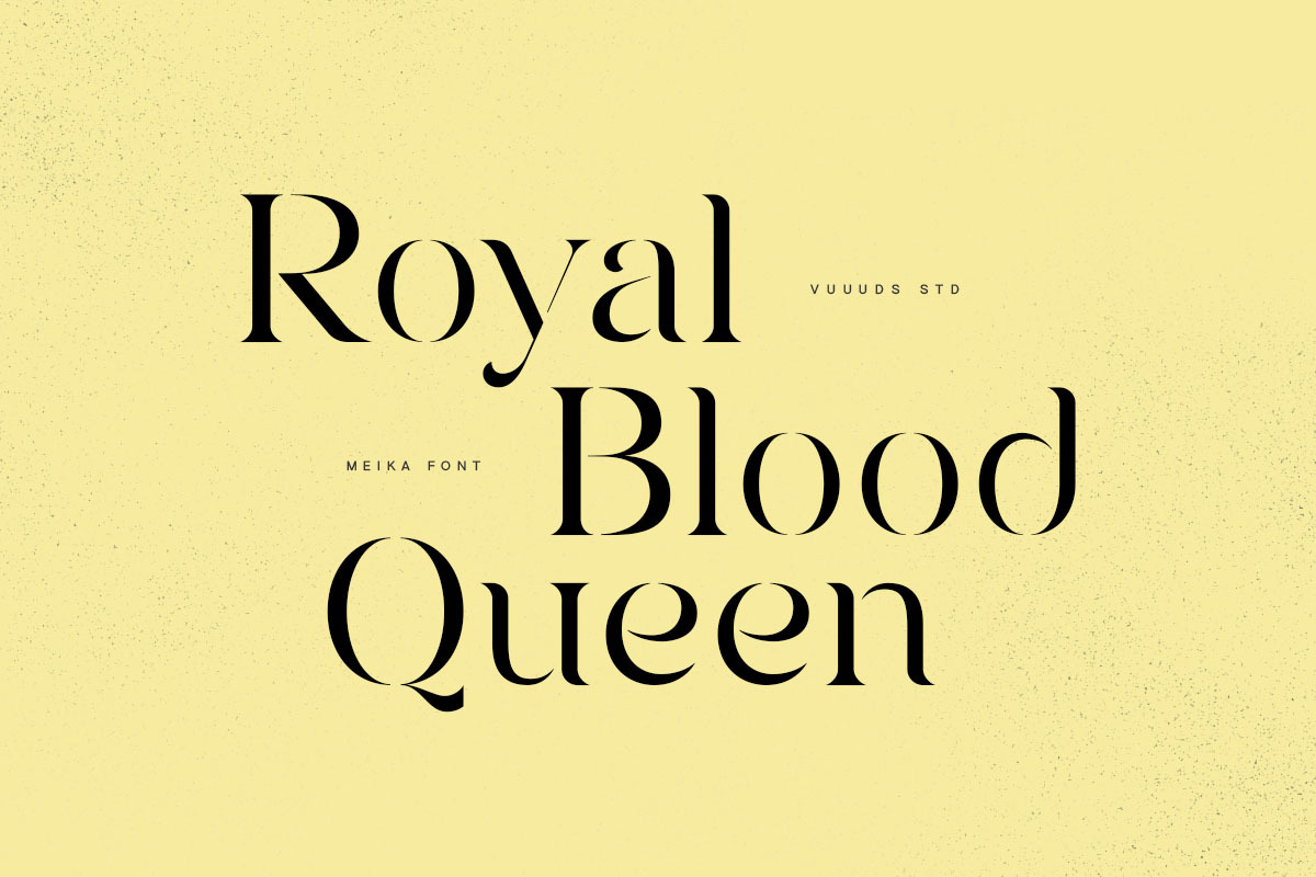 Meika Font, a Serif Font by vuuuds (Photo 4 of 10)