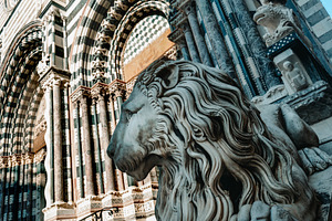 lion at the entrance of the Cathedral of Genoa, a Photo by Nito