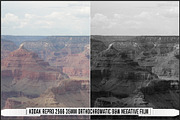 Eastman Kodak Black and White Films, a Plug-in Add-On by Raztrend (Thumbnail 16 of 30)