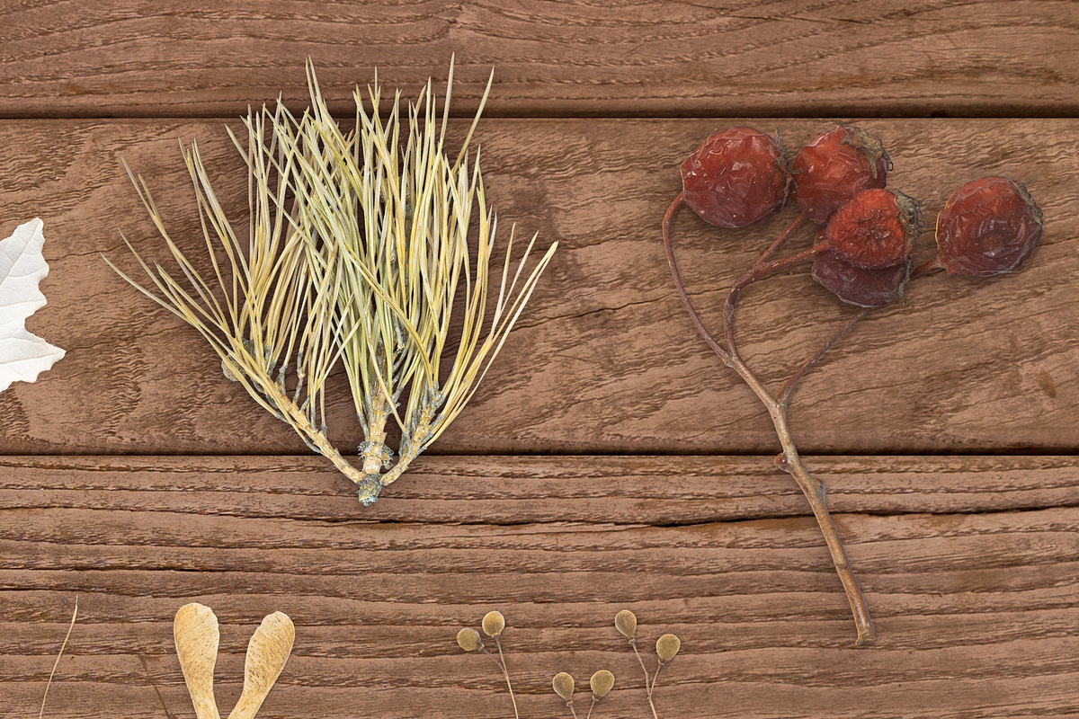 Autumn Floral Mockup, an Object Graphic by uncle-rico (Photo 5 of 12)